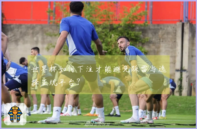 世界杯如何下注才能避免踩雷与选择正规平台?